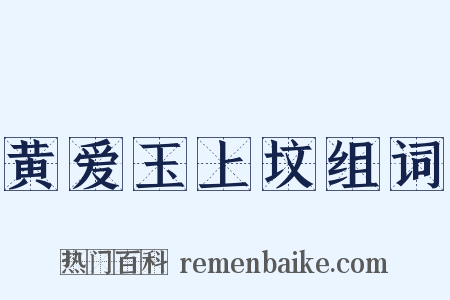 黄爱玉上坟组词是什么意思的图片